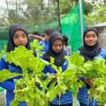 First Hydroponics Harvest Celebrated in Maaungoodhoo by Club Bionic: “Plant a Tree” A Green Initiative by Wellness Matters.